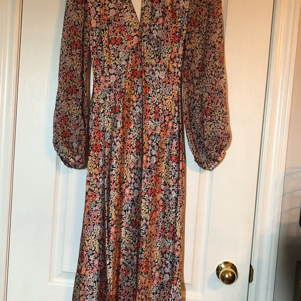 Ginia silk dress size xs new tags on, never worn, floral print.